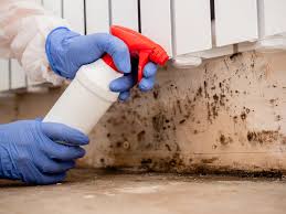 Best Mold Documentation for Insurance Claims  in Ocean City, MD